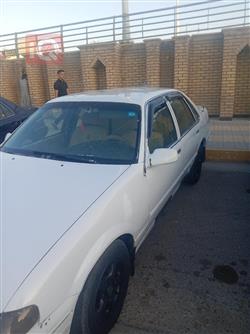دايو برنس